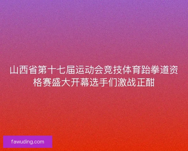 山西省第十七届运动会竞技体育跆拳道资格赛盛大开幕选手们激战正酣